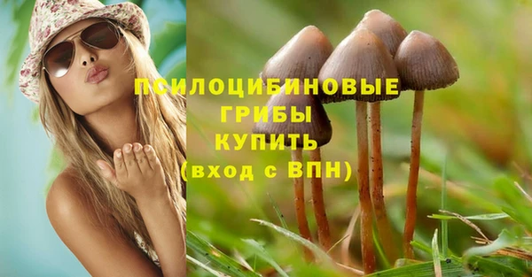 ECSTASY Бугульма