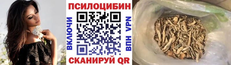 Псилоцибиновые грибы Psilocybine cubensis  Минусинск 